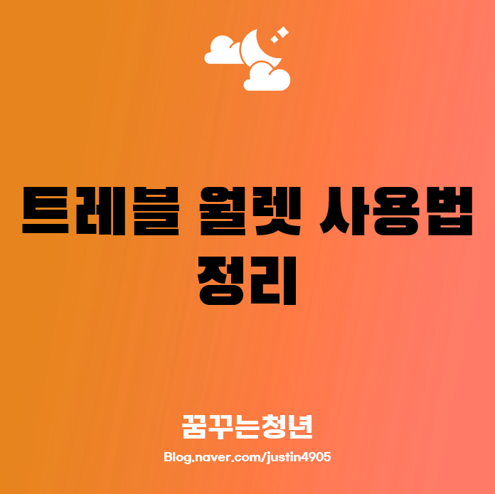 트래블 월렛 사용법